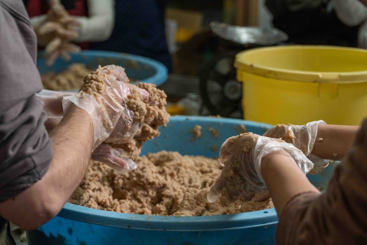 Miso making